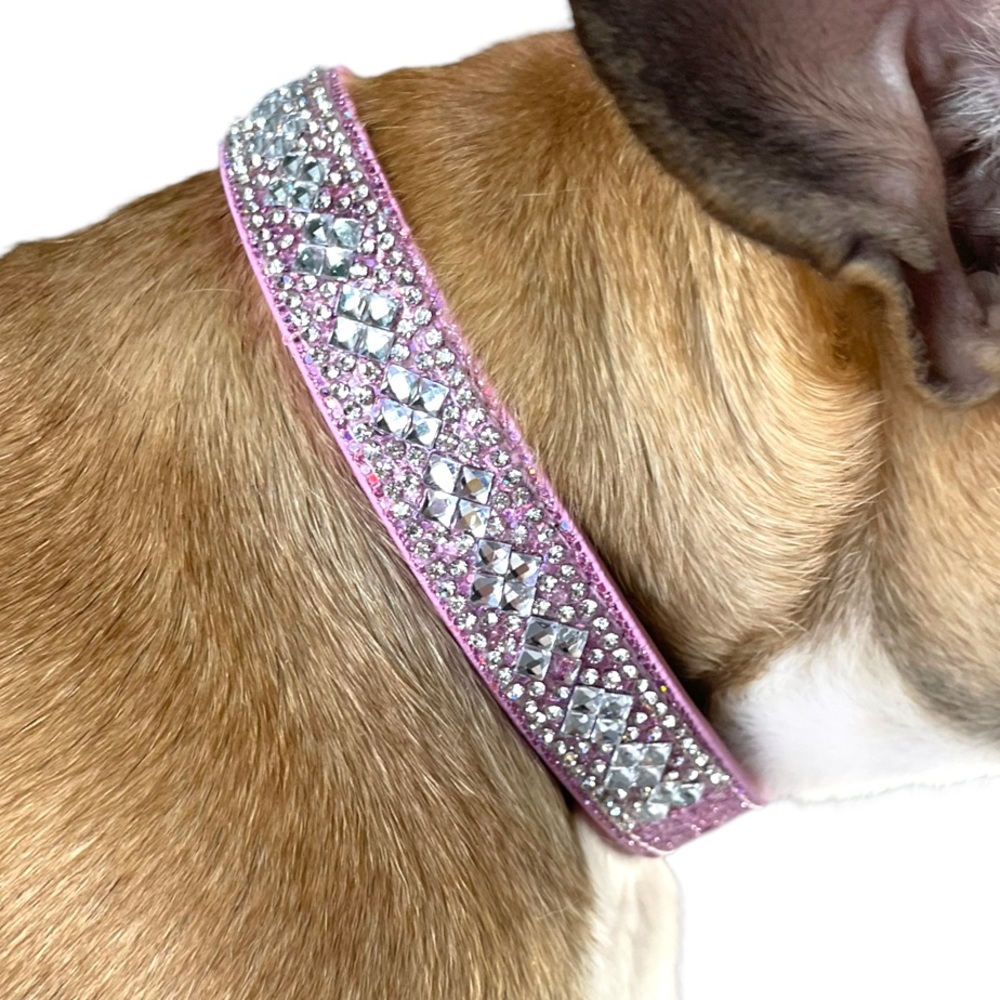 Paparazzi Ready collar